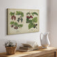 Berries and Currants - Canvas Art Print