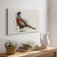 Pheasant Splash 5 - Canvas Art Print