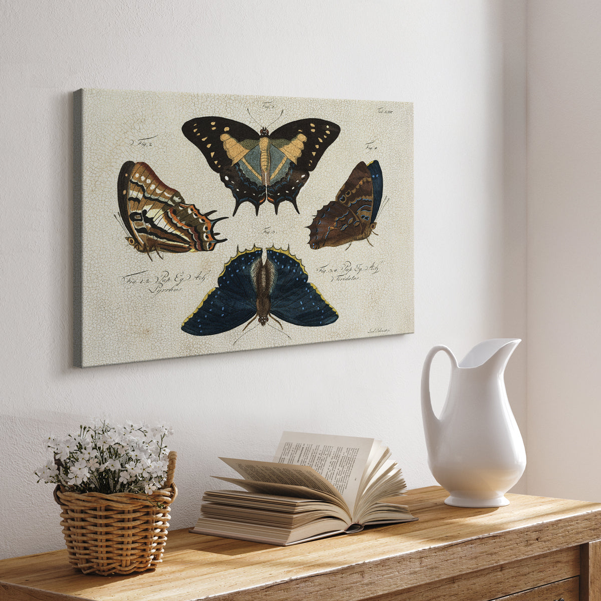 Crackled Butterflies IV - Canvas Art Print