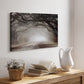Timeless Plantation Drive - Canvas Art Print