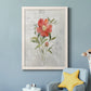 Linen Peony - Premium Canvas Framed in Barnwood - Ready to Hang