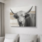 Steer XCI - Canvas Art Print