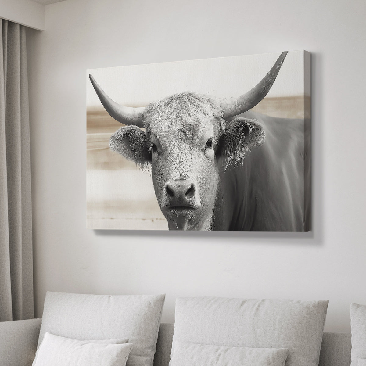 Steer XCI - Canvas Art Print
