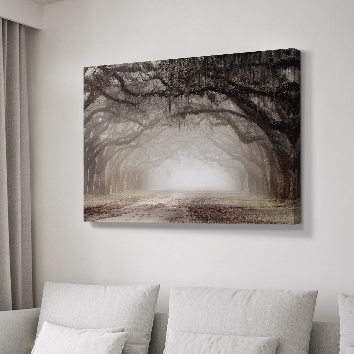 Timeless Plantation Drive - Canvas Art Print