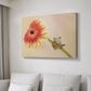 Hanging On IX - Canvas Art Print