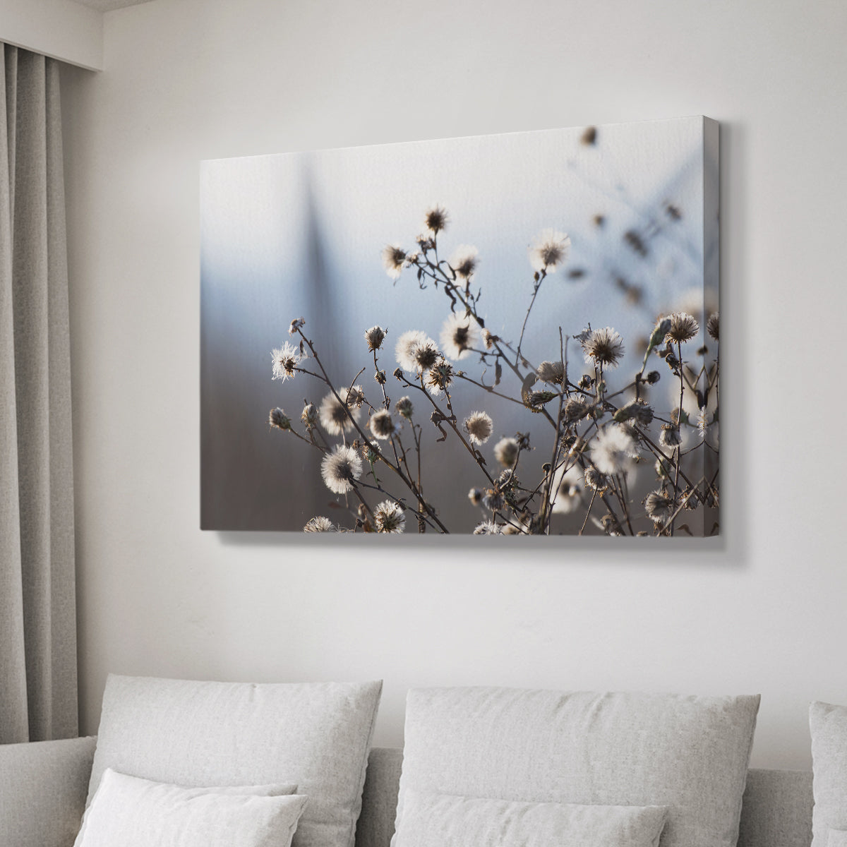Spring Fluff - Canvas Art Print