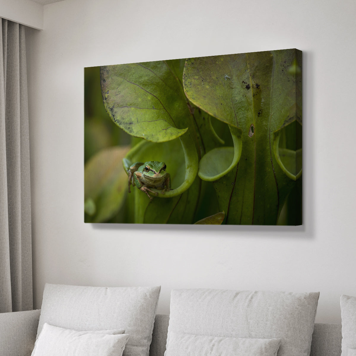 Arboreal Refuge - Canvas Art Print