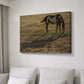 Long Shadow - Canvas Art Print