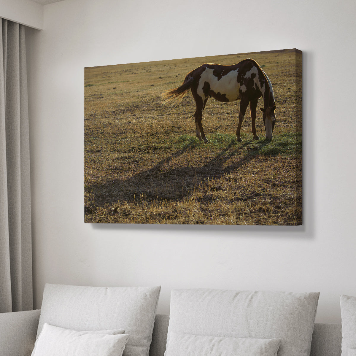 Long Shadow - Canvas Art Print