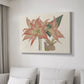Amaryllis Varietals III - Canvas Art Print