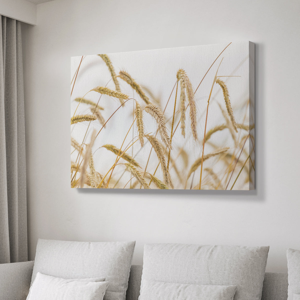 Wheat - Canvas Art Print