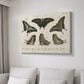 Crackled Butterflies II - Canvas Art Print