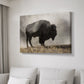 Geyser Basin - Canvas Art Print