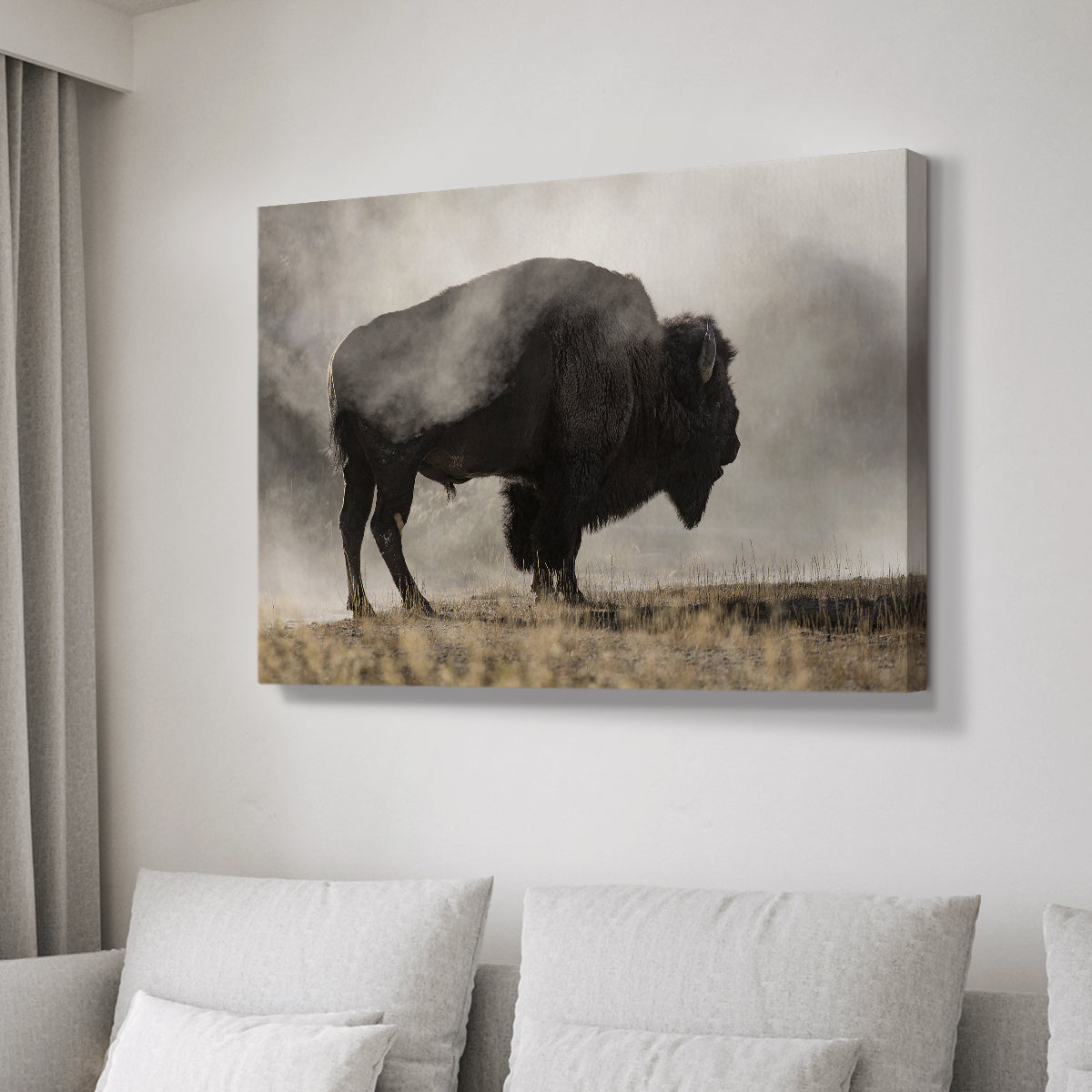 Geyser Basin - Canvas Art Print