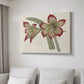 Amaryllis Varietals IV - Canvas Art Print