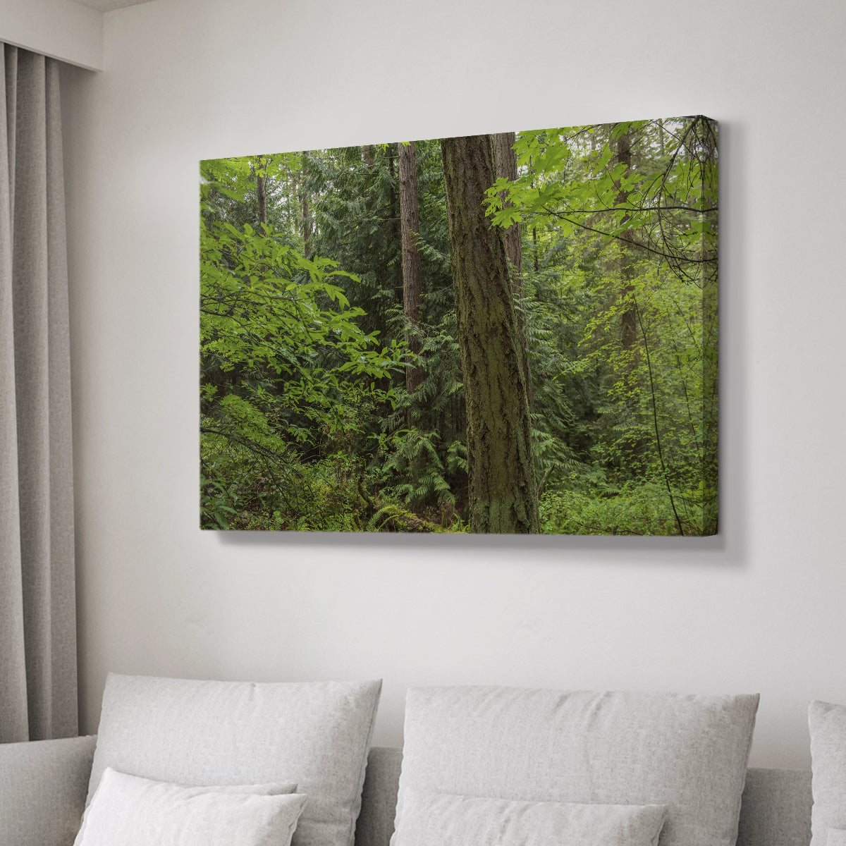 Calm of the Forest - Canvas Art Print