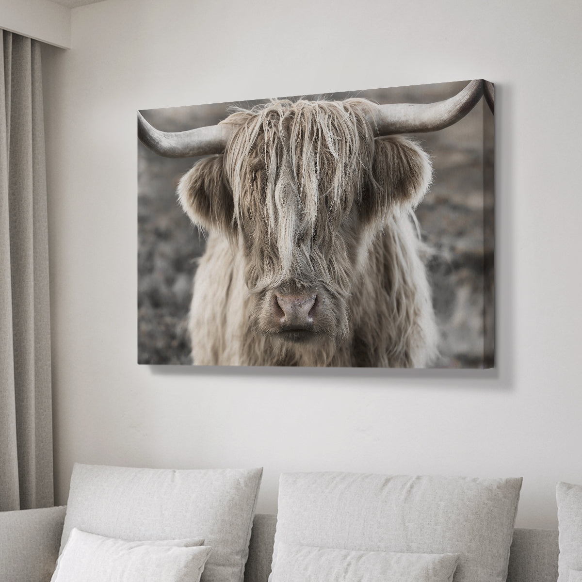 Highland cow with long hair showing expression in moody landscape during early morning light