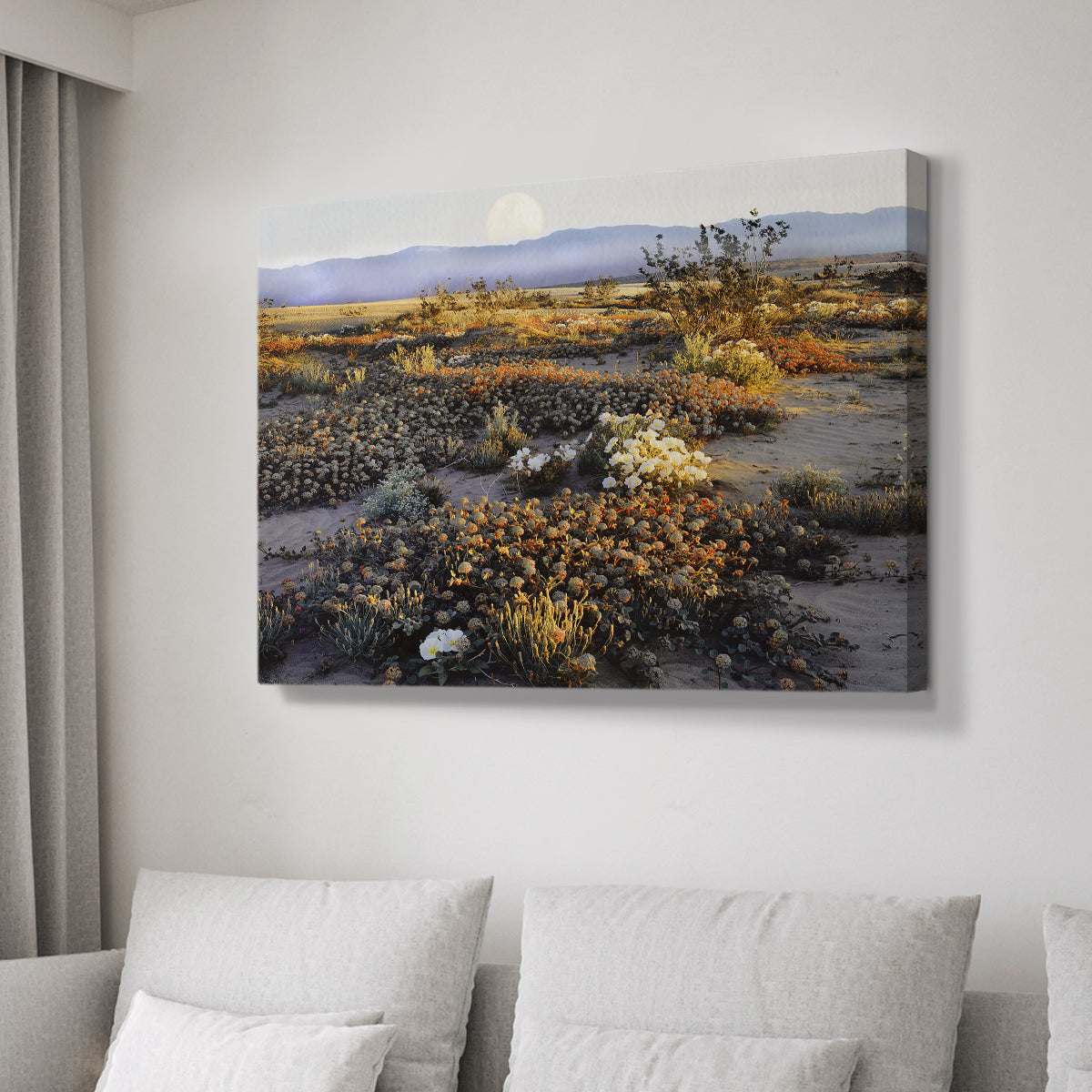 Anza Borrego Desert - Canvas Art Print
