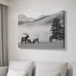 Mountain Elk - Canvas Art Print