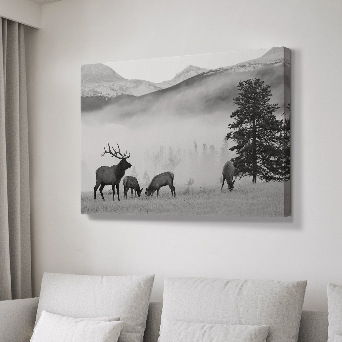 Mountain Elk - Canvas Art Print