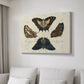 Crackled Butterflies IV - Canvas Art Print