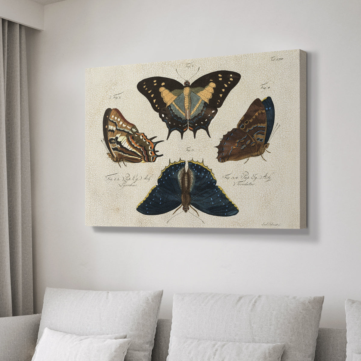 Crackled Butterflies IV - Canvas Art Print