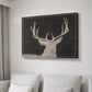 Brow Tine Deer II - Canvas Art Print