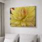 Blooms I - Canvas Art Print