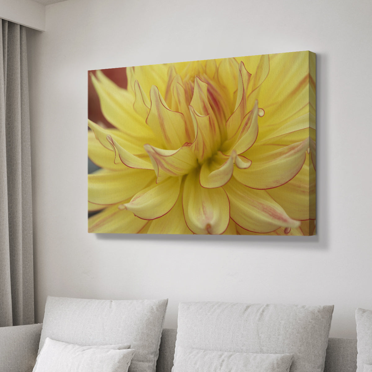 Blooms I - Canvas Art Print