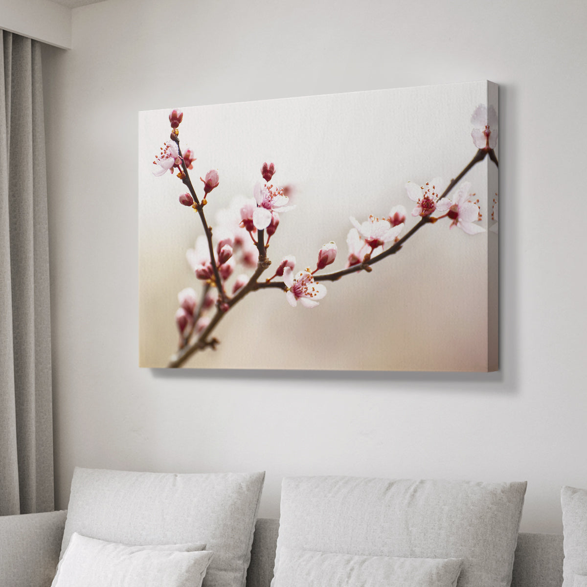 Cherry Blossom Study I - Canvas Art Print