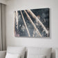 Celestial Glimmer - Canvas Art Print
