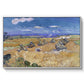 Wheat Field with Reaper, Auvers, 1888 - Floater Framed Canvas Print