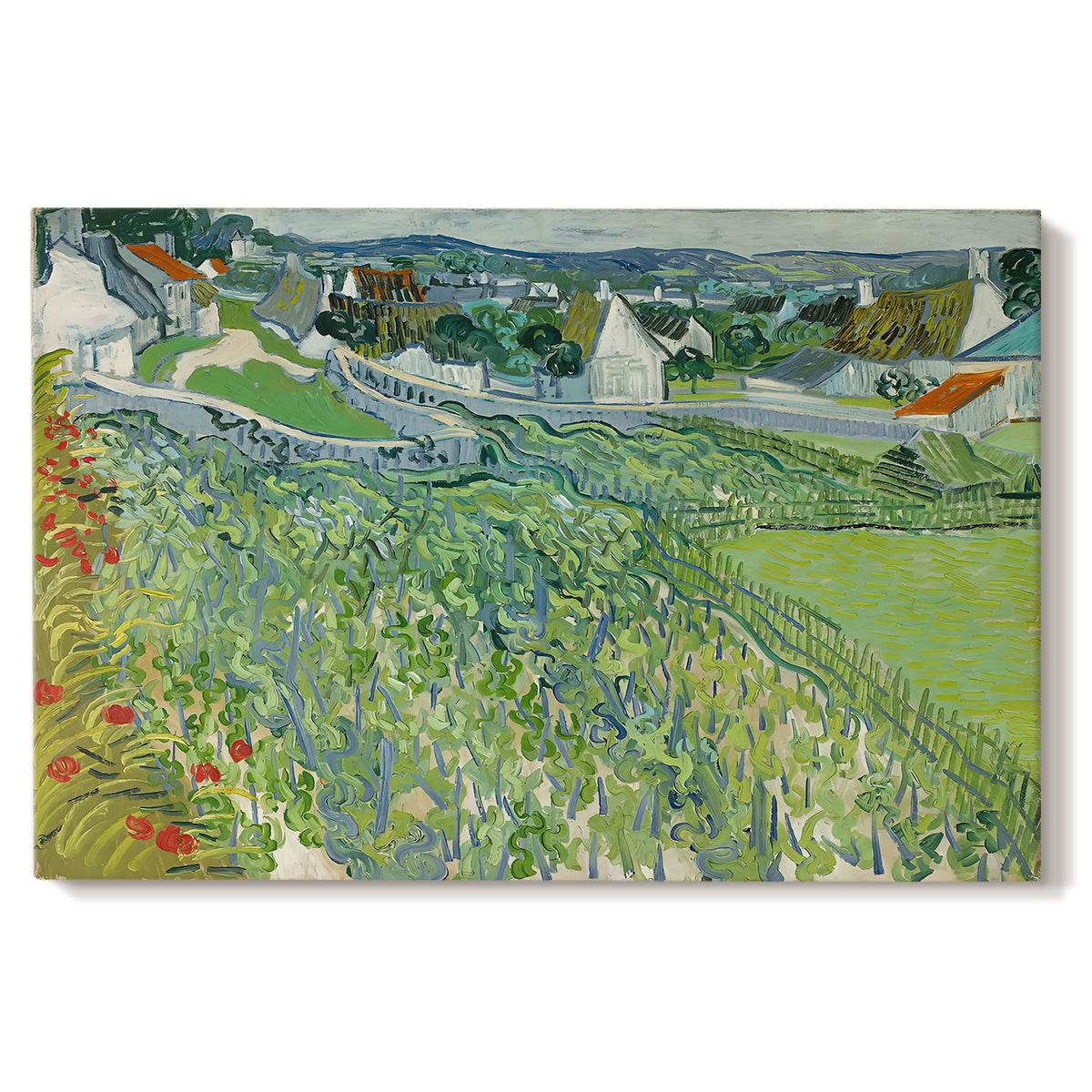 Canvas art print portraying a cultivated vineyard rows stretching across landscape with distant horizon, set against a white background