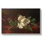 Magnolia on Red Velvet, c. 1885-1890 - Floater Framed Canvas Print