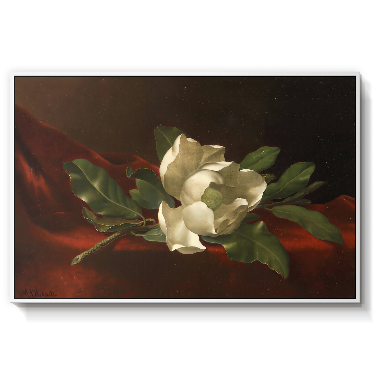Magnolia on Red Velvet, c. 1885-1890 - Floater Framed Canvas Print