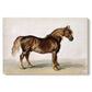 Canvas art print portraying a sturdy cart horse standing in profile against plain background, set against a white background