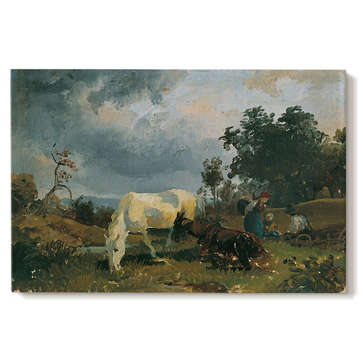 Canvas art print portraying grazing livestock resting in open heath landscape, set against a white background