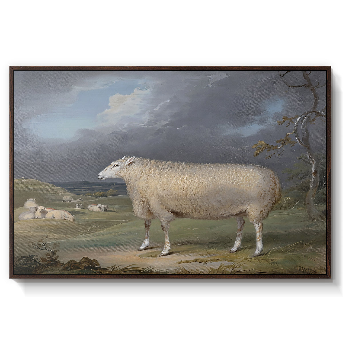A Border Leicester Ewe, c. 1795-1800 - Floater Framed Canvas Print