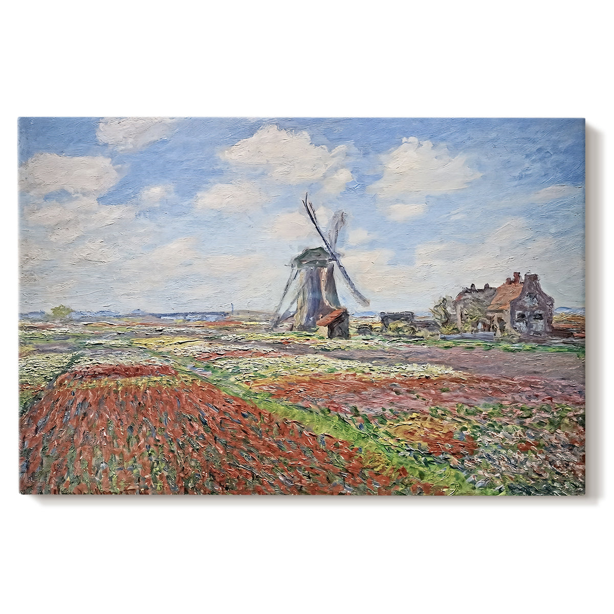 Canvas art print portraying colorful rows of tulip fields leading toward distant windmill, set against a white background