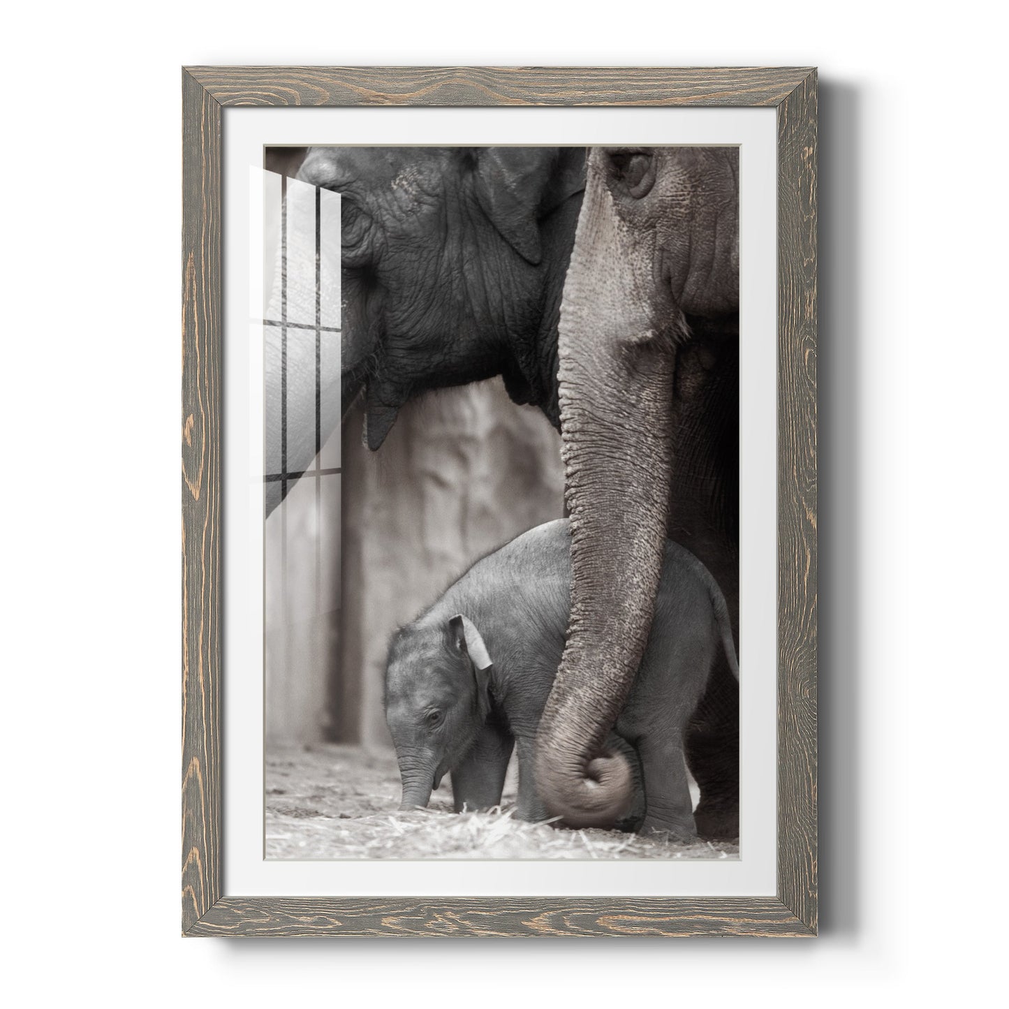 Family Moment - Premium Framed Print - Distressed Barnwood Frame - Ready to Hang