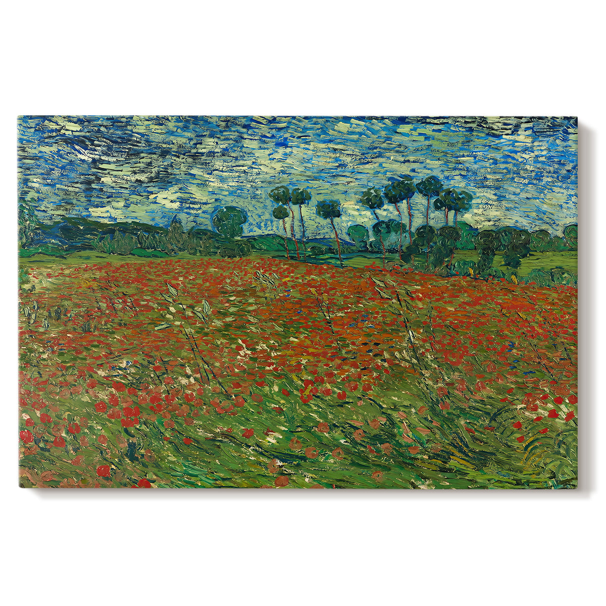 Canvas art print portraying a field dotted with red poppies stretching across green landscape, set against a white background