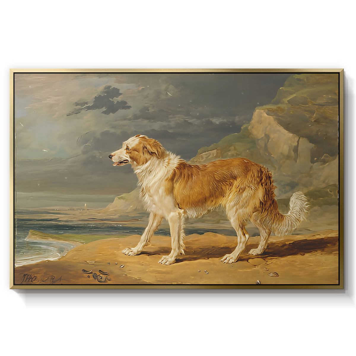 Rough-Coated Collie, 1809 - Floater Framed Canvas Print