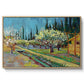 Orchard in Blossom, Bordered by Cypresses, 1888 - Floater Framed Canvas Print