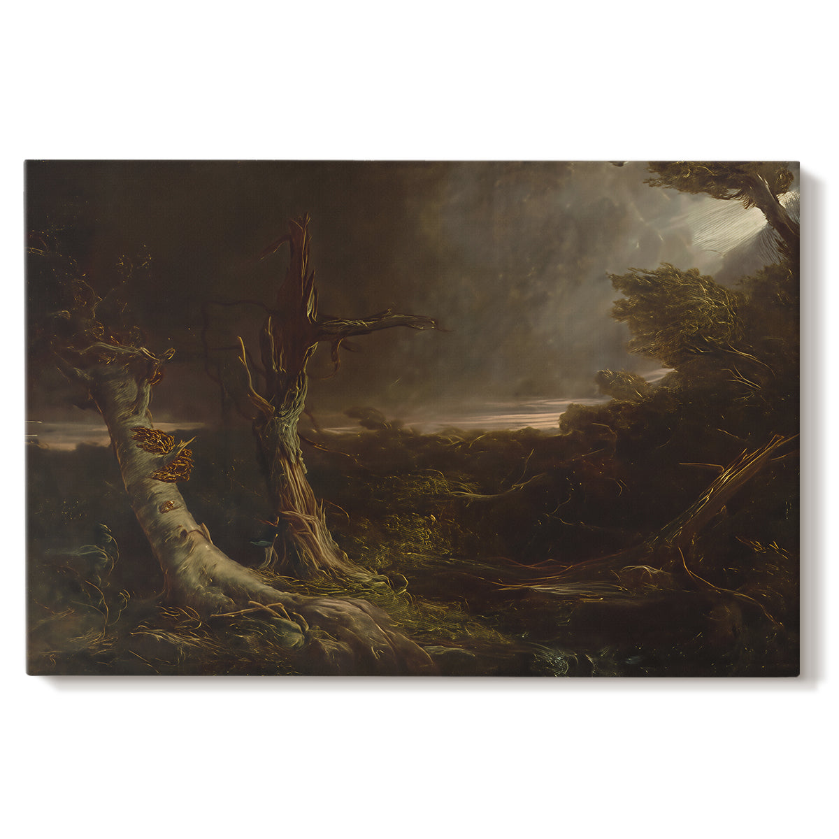 Canvas art print portraying a swirling tornado cutting through forest landscape with dark storm clouds, set against a white background