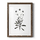 Inky Botanical I - Barnwood Framed Art Print
