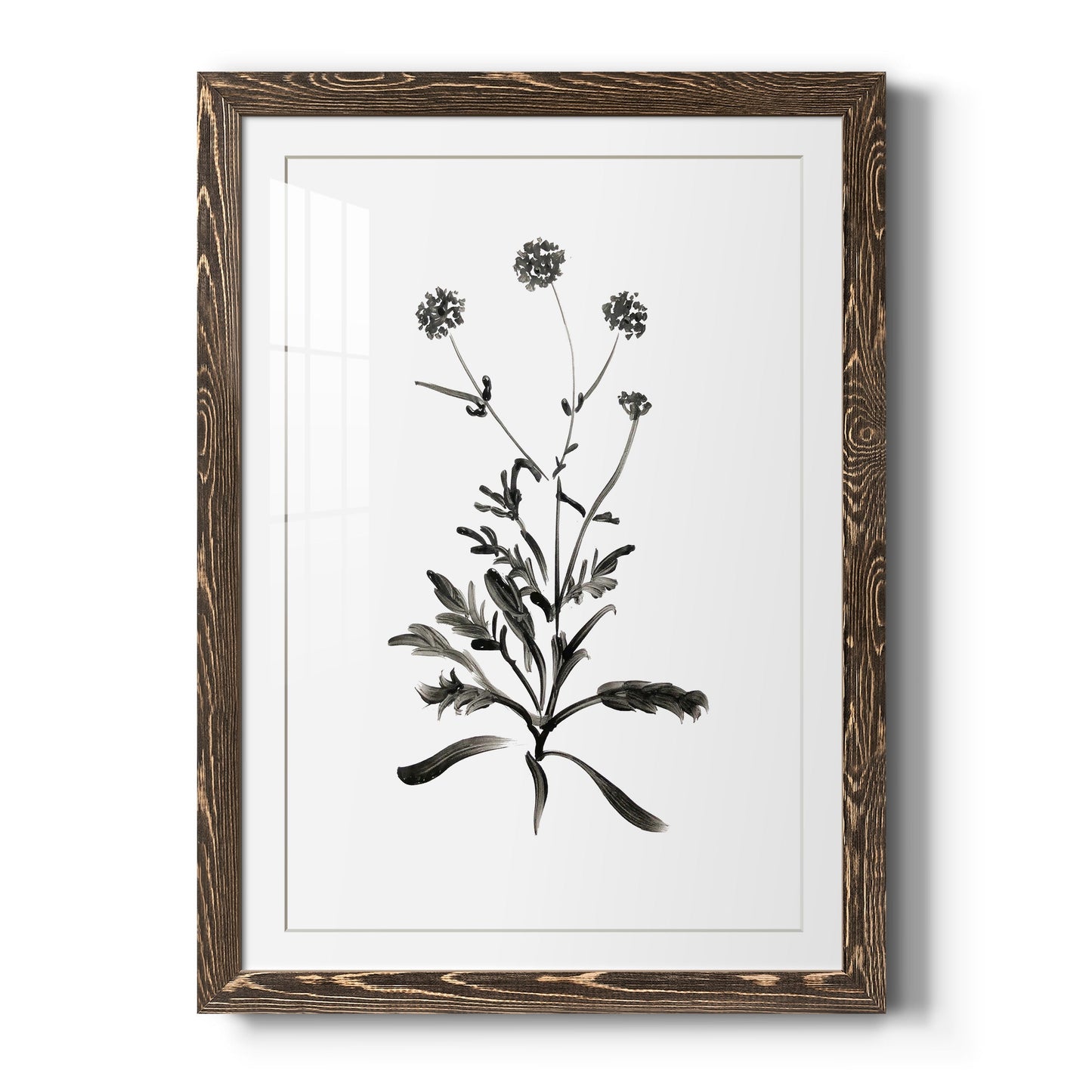 Inky Botanical I - Barnwood Framed Art Print