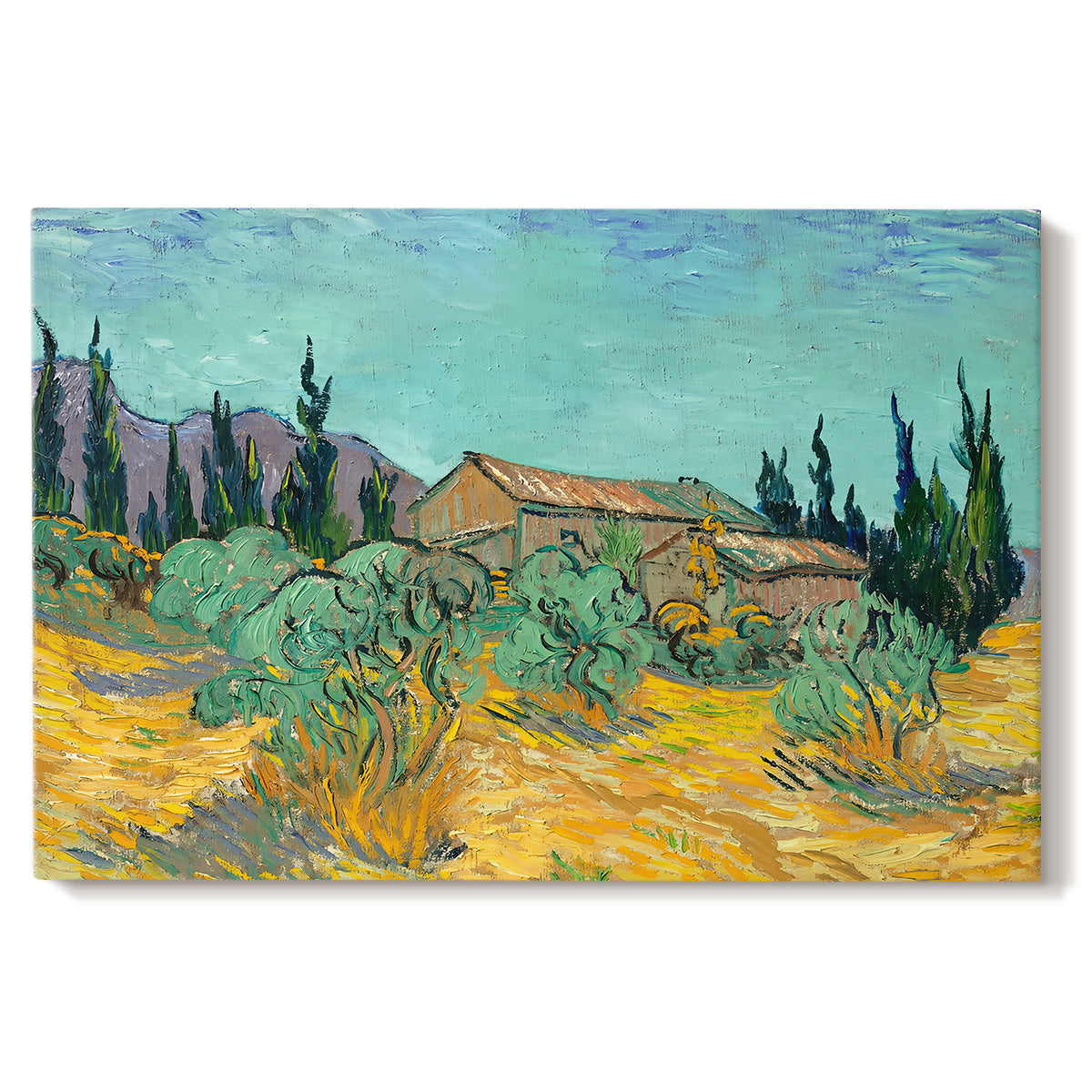 Canvas art print portraying rustic sheds surrounded by olive trees and tall cypresses in rural landscape, set against a white background