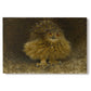 Canvas art print portraying a large owl perched on branch in shadowy natural forest setting, set against a white background