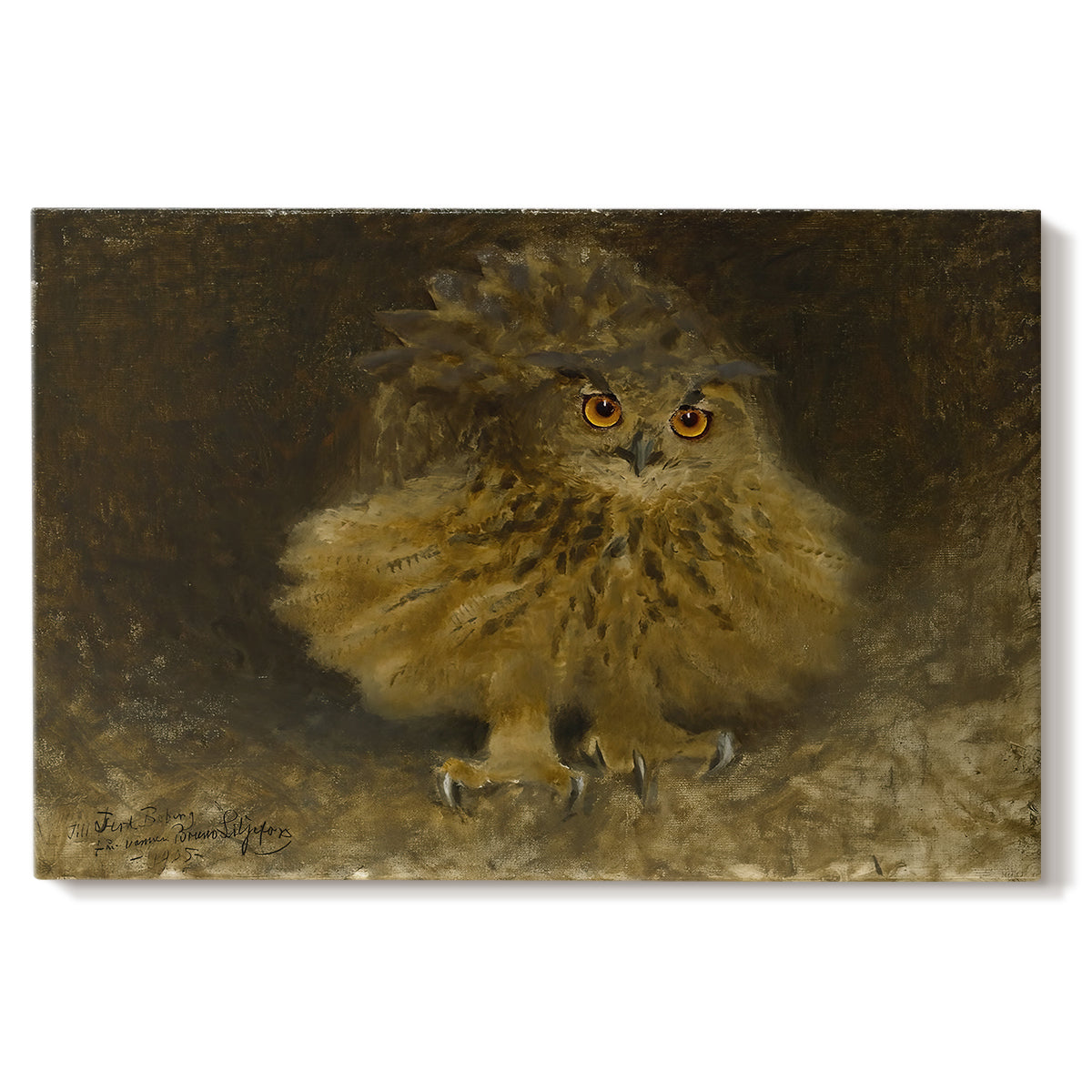Canvas art print portraying a large owl perched on branch in shadowy natural forest setting, set against a white background