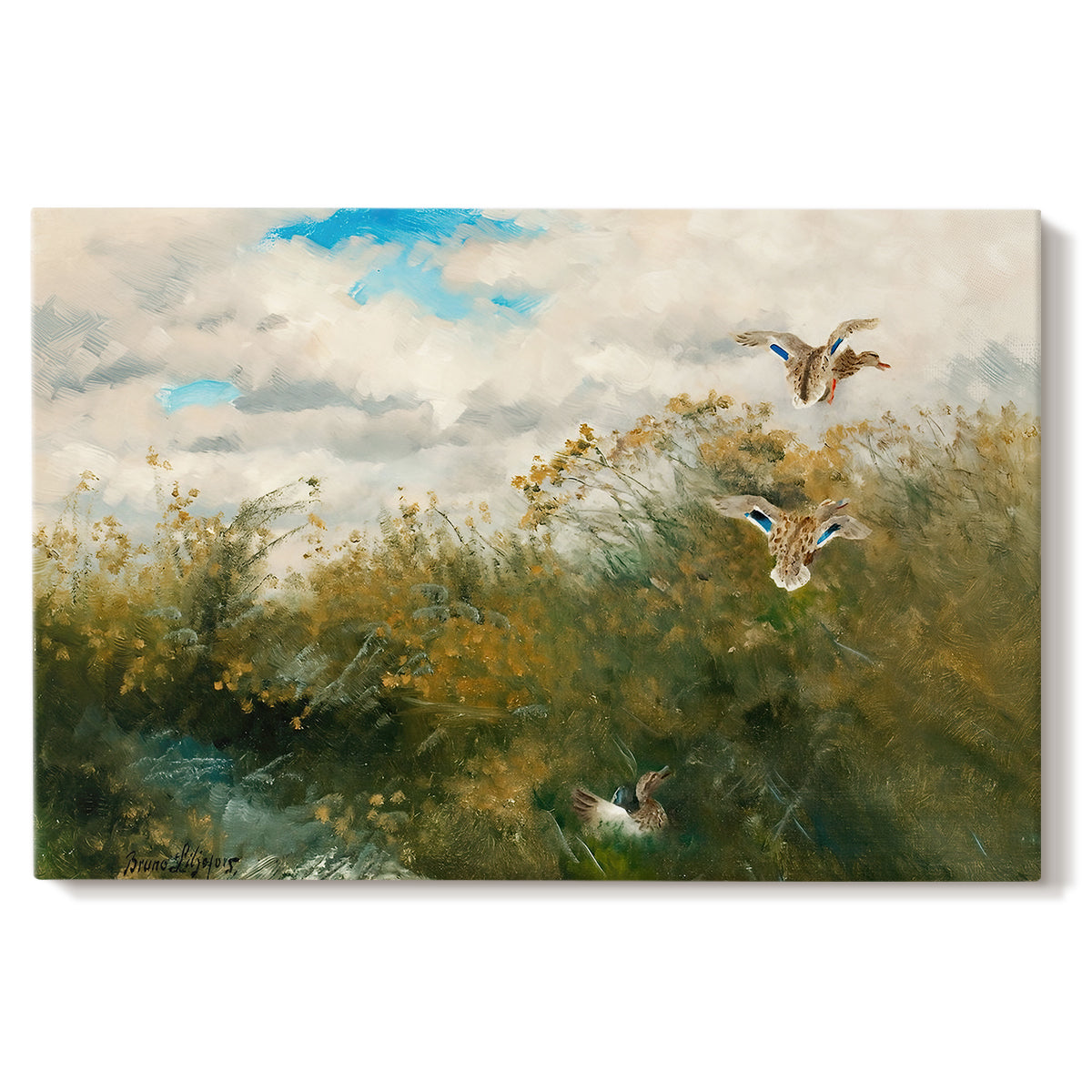 Canvas art print portraying ducks moving through grassy wetland near water's edge, set against a white background